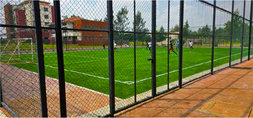 Bespoke iron entrance gate featuring unique design elements and durable construction
