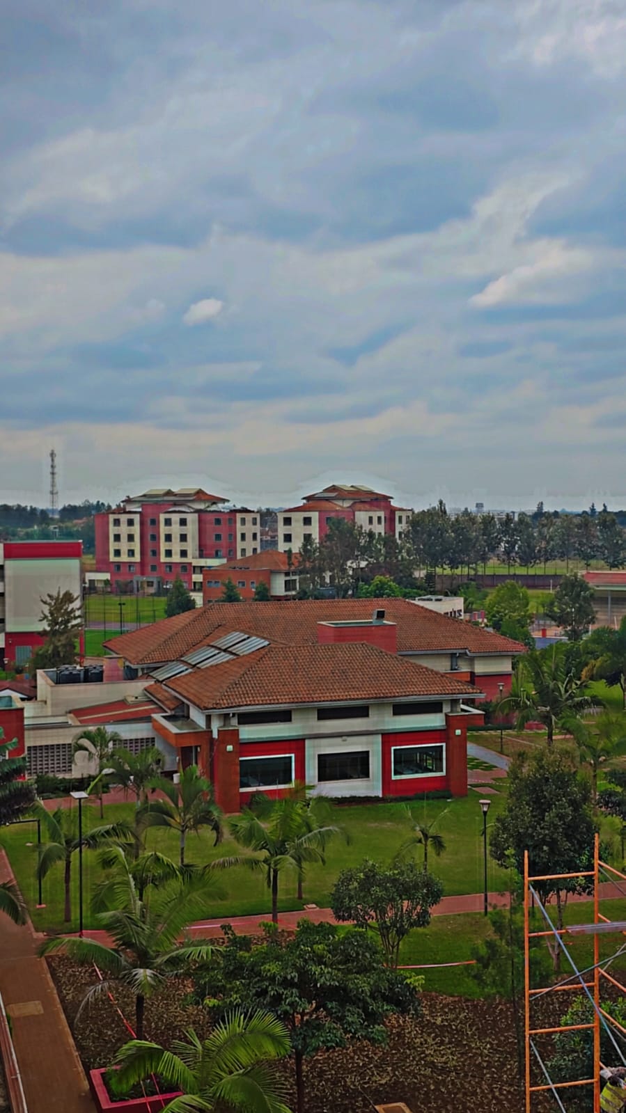 Landscaping Project Image