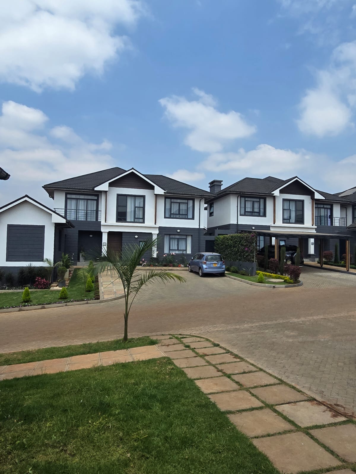 Landscaping Project Image