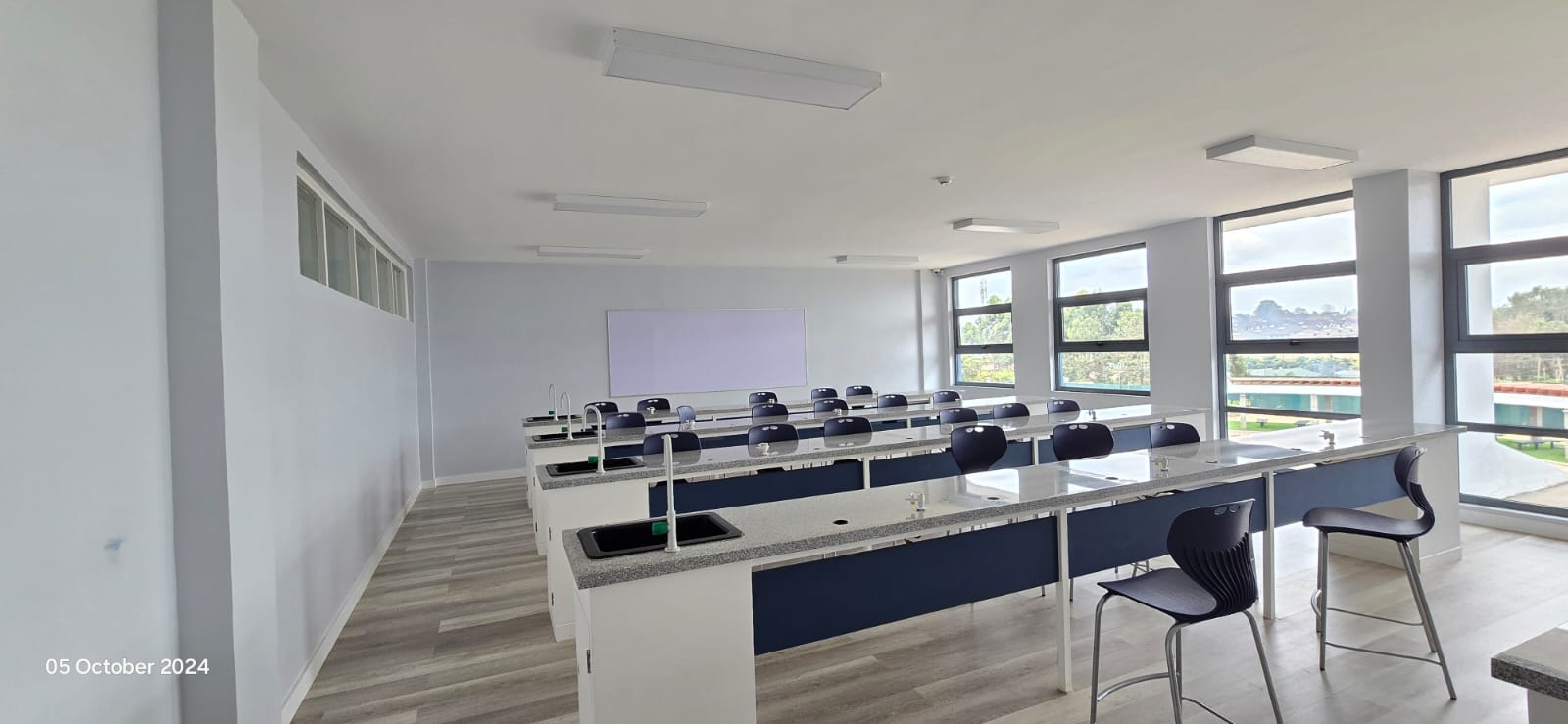 Painting Project Image